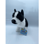 Teddy Bear (Dog)
