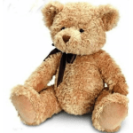 Assorted Teddy Bear