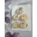 Fun Magnets - Gnomes and Sunflowers