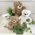 Teddy Bears