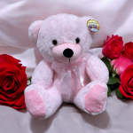 Pink Cuddle Bear