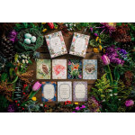 A Deck of Hope