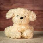 10" White doggie