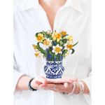 Mini english daffodill