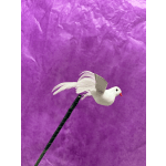White Dove Bird