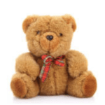 Medium Teddy Bear