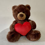 Teddy Bear - (Plush May Vary)