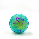 Mermaid Dreams Bath Bomb