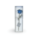 Preserved Blue Rose Dipped in Silver