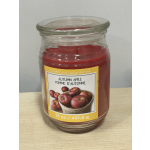Autumn Apple Candle