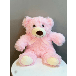 Plush Teddy Bear Pink