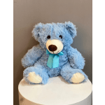 Plush Teddy Bear Blue