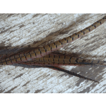2 Pheasant Feathers