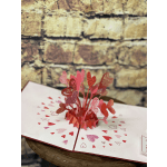 Love Explosion Pop Up Card