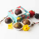 Truffle Collection: Spring Enchantment Collection 4PC