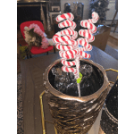 candycane swirl pick soft