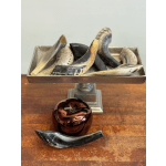 Traditional Shofar – Rosh Hashanah Edition