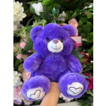 BEAR PURPLE