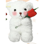 White Plush Teddy Bear