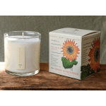 Sweet Sunflower "Plant The Box" Candle