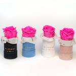 Single Pink Eternal Rose