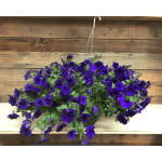 Outdoor Hanging Basket