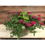 Annual Patio Planter