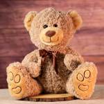18" Hug Fun Bear Plush