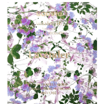 Lavender Choc (V GF)