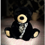 Medium Plush Teddy Bear