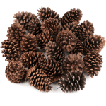 PINECONES ON GRAVE BLANKET & PILLOWS