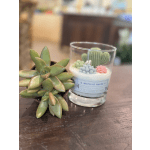 Lumos Succulent Candle