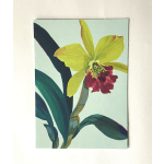 Card with orchid