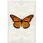 Photographic Print on handmade Nepalese paper Monarch Butterfly