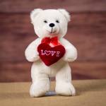 Love Teddy Bear