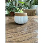Ceramic Pot