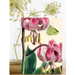 Pink Tiger Lily Greeting Card
