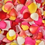 Bag Of Mixed Color Rose Petals