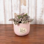 Peace & Love Planter