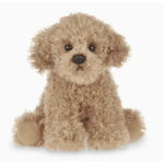 Lil' Doodles the Labradoodle