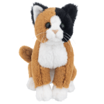 Orange and Black Whiskers