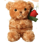 Brown Plush Teddy Bear