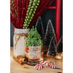 Christmas tree candle