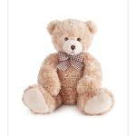 Plush Bear