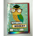 Graduation card - owl