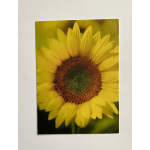 Card with sunflower