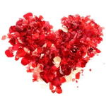 Box of Fresh Rose Petals