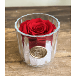Preserved red rose
