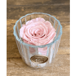 Preserved pink rose