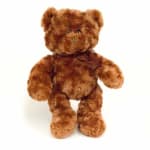 4072 Brown bear